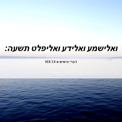 Picture 06 - דברי הימים א 3:8 HEB - ואלישמע ואלידע ואליפלט - Bible Verse Picture