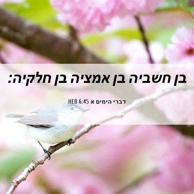 Picture 06 - דברי הימים א 6:45 HEB - בן חשביה בן אמציה בן - Bible Verse Picture