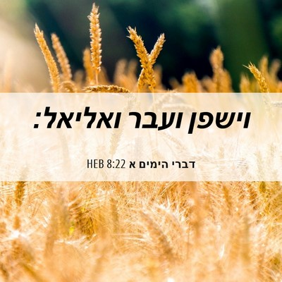 Picture 06 - דברי הימים א 8:22 HEB - וישפן ועבר - Bible Verse Picture