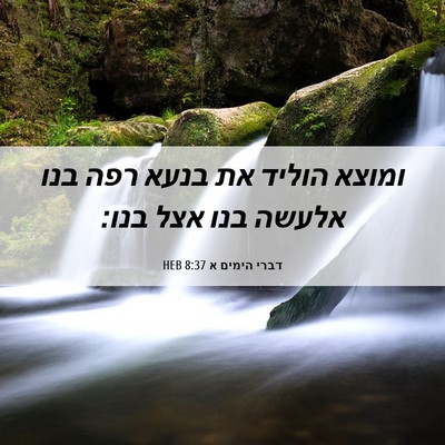 Picture 06 - דברי הימים א 8:37 HEB - ומוצא הוליד את בנעא רפה בנו - Bible Verse Picture