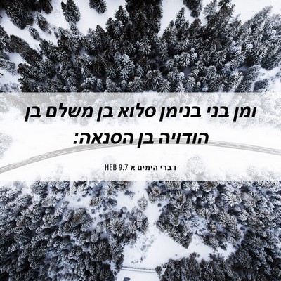 Picture 06 - דברי הימים א 9:7 HEB - ומן בני בנימן סלוא בן משלם - Bible Verse Picture