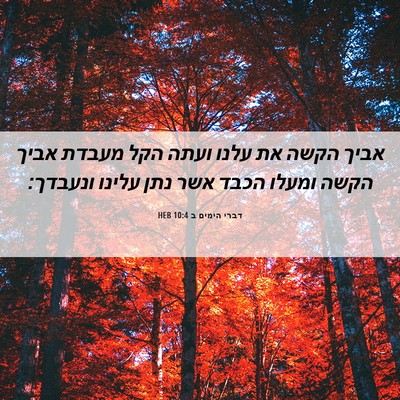 Picture 06 - דברי הימים ב 10:4 HEB - אביך הקשה את עלנו ועתה הקל - Bible Verse Picture