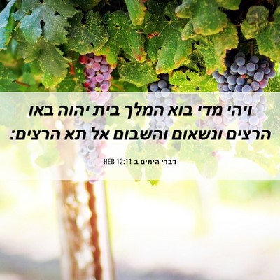 Picture 06 - דברי הימים ב 12:11 HEB - ויהי מדי בוא המלך בית יהוה - Bible Verse Picture