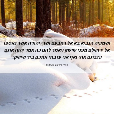 Picture 06 - דברי הימים ב 12:5 HEB - ושמעיה הנביא בא אל רחבעם - Bible Verse Picture