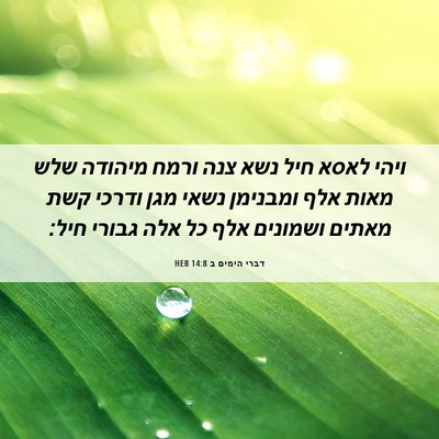 Picture 06 - דברי הימים ב 14:8 HEB - ויהי לאסא חיל נשא צנה ורמח - Bible Verse Picture