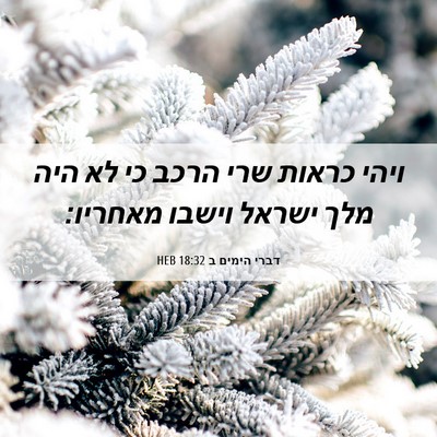 Picture 06 - דברי הימים ב 18:32 HEB - ויהי כראות שרי הרכב כי לא - Bible Verse Picture