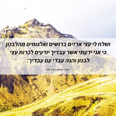 Picture 06 - דברי הימים ב 2:8 HEB - ושלח לי עצי ארזים ברושים - Bible Verse Picture