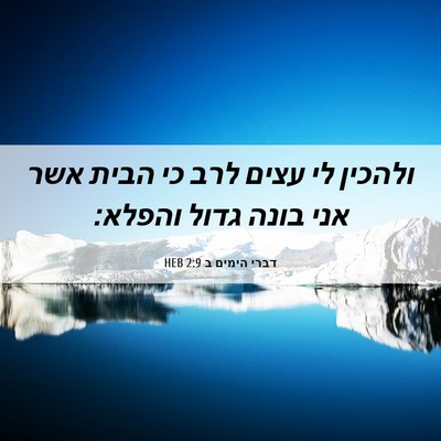 Picture 06 - דברי הימים ב 2:9 HEB - ולהכין לי עצים לרב כי הבית - Bible Verse Picture