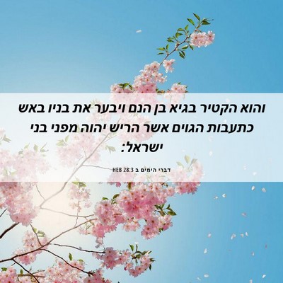 Picture 06 - דברי הימים ב 28:3 HEB - והוא הקטיר בגיא בן הנם - Bible Verse Picture