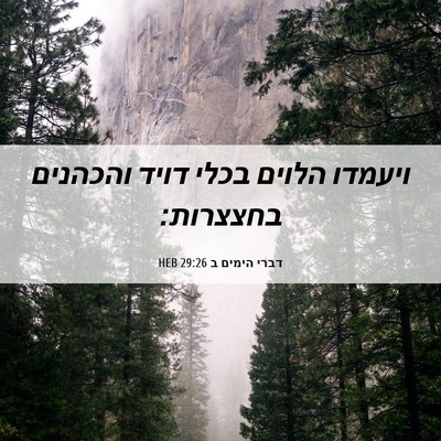 Picture 06 - דברי הימים ב 29:26 HEB - ויעמדו הלוים בכלי דויד - Bible Verse Picture