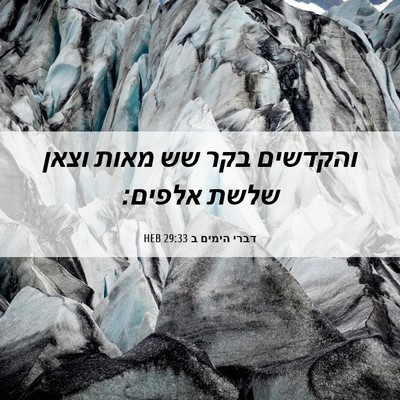Picture 06 - דברי הימים ב 29:33 HEB - והקדשים בקר שש מאות וצאן - Bible Verse Picture