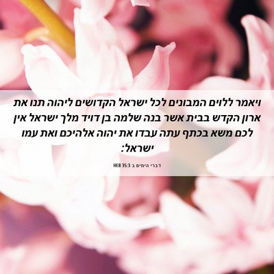 Picture 06 - דברי הימים ב 35:3 HEB - ויאמר ללוים המבונים לכל - Bible Verse Picture