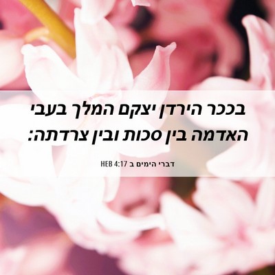Picture 06 - דברי הימים ב 4:17 HEB - בככר הירדן יצקם המלך בעבי - Bible Verse Picture