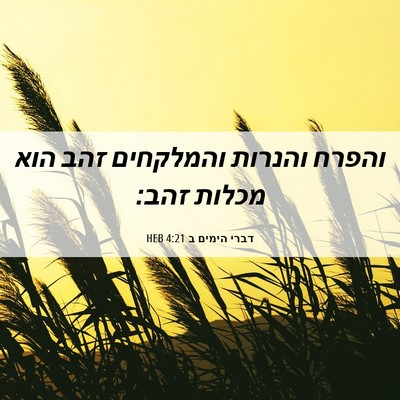 Picture 06 - דברי הימים ב 4:21 HEB - והפרח והנרות והמלקחים זהב - Bible Verse Picture