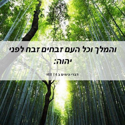 Picture 06 - דברי הימים ב 7:4 HEB - והמלך וכל העם זבחים זבח - Bible Verse Picture