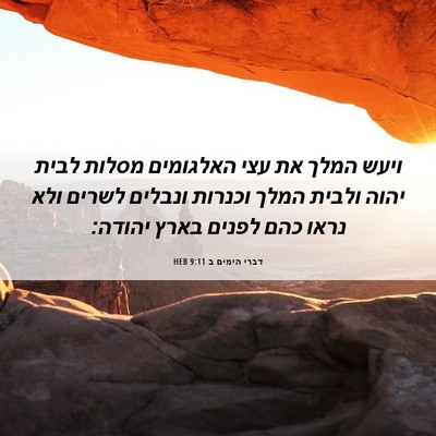 Picture 06 - דברי הימים ב 9:11 HEB - ויעש המלך את עצי האלגומים - Bible Verse Picture