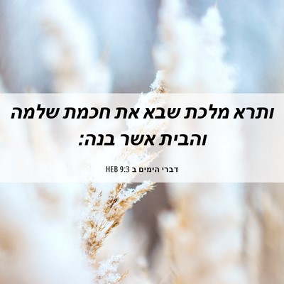 Picture 06 - דברי הימים ב 9:3 HEB - ותרא מלכת שבא את חכמת שלמה - Bible Verse Picture
