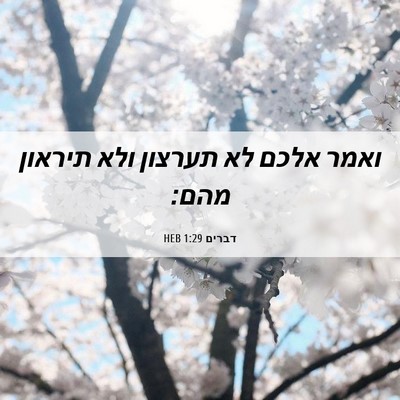 Picture 06 - דברים 1:29 HEB - ואמר אלכם לא תערצון ולא - Bible Verse Picture