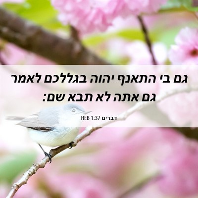 Picture 06 - דברים 1:37 HEB - גם בי התאנף יהוה בגללכם - Bible Verse Picture