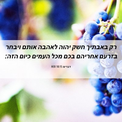 Picture 06 - דברים 10:15 HEB - רק באבתיך חשק יהוה לאהבה - Bible Verse Picture