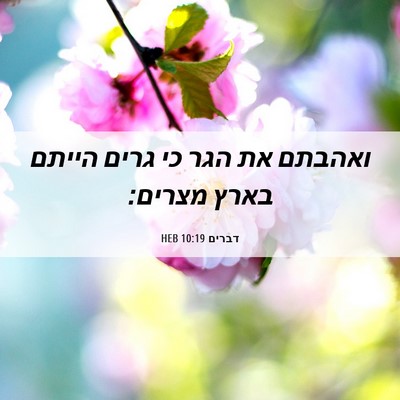 Picture 06 - דברים 10:19 HEB - ואהבתם את הגר כי גרים הייתם - Bible Verse Picture