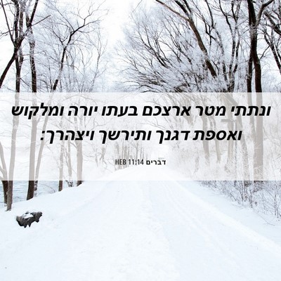 Picture 06 - דברים 11:14 HEB - ונתתי מטר ארצכם בעתו יורה - Bible Verse Picture