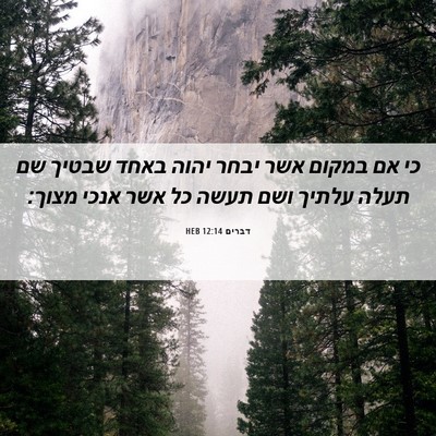 Picture 06 - דברים 12:14 HEB - כי אם במקום אשר יבחר יהוה - Bible Verse Picture