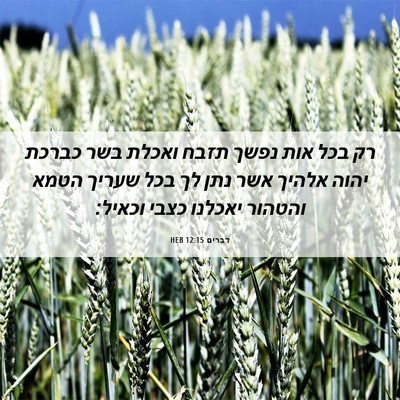 Picture 06 - דברים 12:15 HEB - רק בכל אות נפשך תזבח ואכלת - Bible Verse Picture