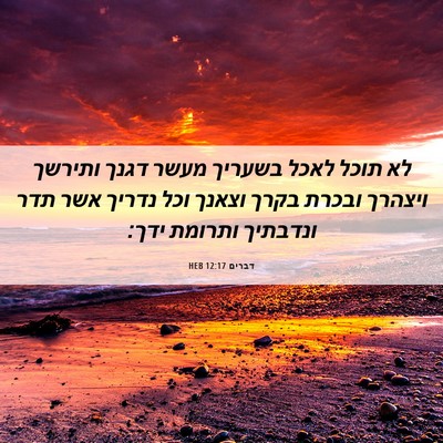 Picture 06 - דברים 12:17 HEB - לא תוכל לאכל בשעריך מעשר - Bible Verse Picture