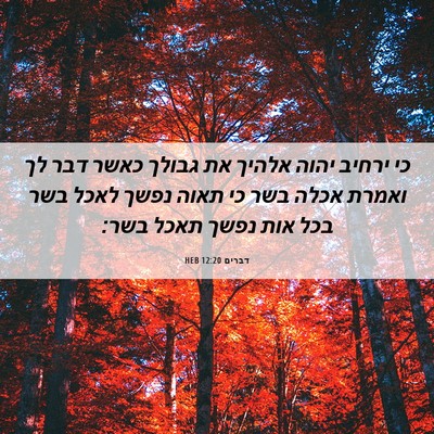 Picture 06 - דברים 12:20 HEB - כי ירחיב יהוה אלהיך את - Bible Verse Picture