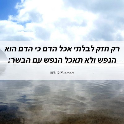 Picture 06 - דברים 12:23 HEB - רק חזק לבלתי אכל הדם כי הדם - Bible Verse Picture