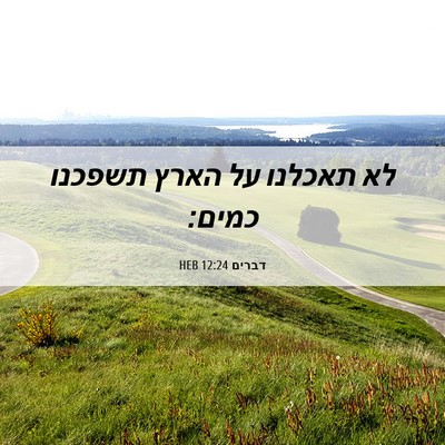 Picture 06 - דברים 12:24 HEB - לא תאכלנו על הארץ תשפכנו - Bible Verse Picture