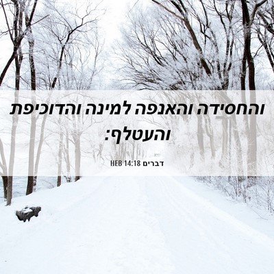 Picture 06 - דברים 14:18 HEB - והחסידה והאנפה למינה - Bible Verse Picture