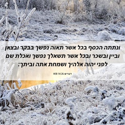 Picture 06 - דברים 14:26 HEB - ונתתה הכסף בכל אשר תאוה - Bible Verse Picture