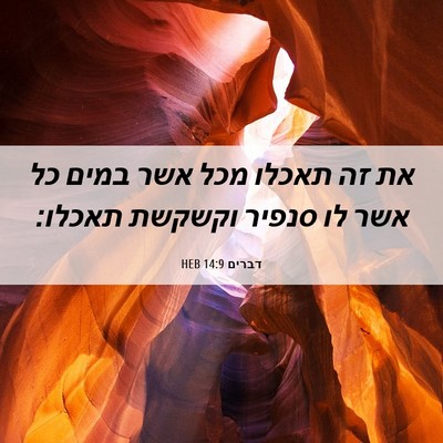 Picture 06 - דברים 14:9 HEB - את זה תאכלו מכל אשר במים כל - Bible Verse Picture