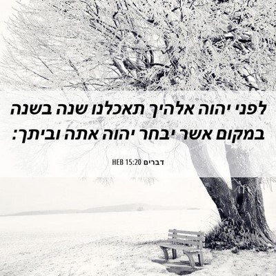 Picture 06 - דברים 15:20 HEB - לפני יהוה אלהיך תאכלנו שנה - Bible Verse Picture