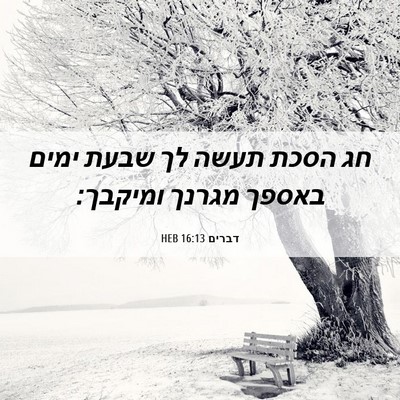 Picture 06 - דברים 16:13 HEB - חג הסכת תעשה לך שבעת ימים - Bible Verse Picture