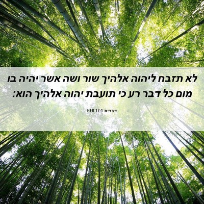 Picture 06 - דברים 17:1 HEB - לא תזבח ליהוה אלהיך שור ושה - Bible Verse Picture