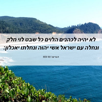 Picture 06 - דברים 18:1 HEB - לא יהיה לכהנים הלוים כל שבט - Bible Verse Picture