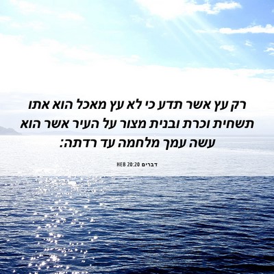 Picture 06 - דברים 20:20 HEB - רק עץ אשר תדע כי לא עץ מאכל - Bible Verse Picture