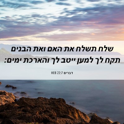 Picture 06 - דברים 22:7 HEB - שלח תשלח את האם ואת הבנים - Bible Verse Picture