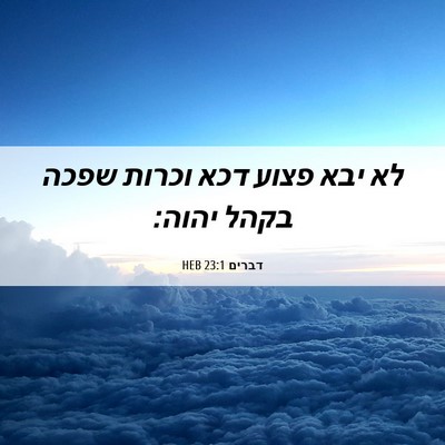 Picture 06 - דברים 23:1 HEB - לא יבא פצוע דכא וכרות שפכה - Bible Verse Picture