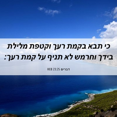 Picture 06 - דברים 23:25 HEB - כי תבא בקמת רעך וקטפת מלילת - Bible Verse Picture