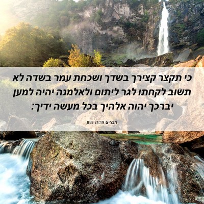 Picture 06 - דברים 24:19 HEB - כי תקצר קצירך בשדך ושכחת - Bible Verse Picture