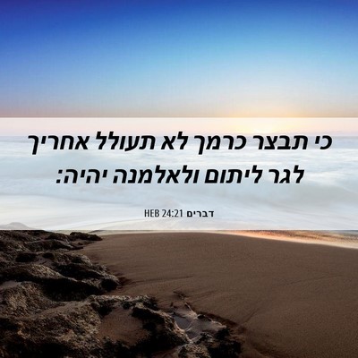 Picture 06 - דברים 24:21 HEB - כי תבצר כרמך לא תעולל אחריך - Bible Verse Picture