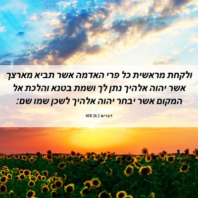 Picture 06 - דברים 26:2 HEB - ולקחת מראשית כל פרי האדמה - Bible Verse Picture