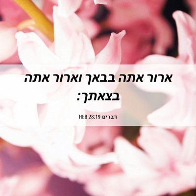Picture 06 - דברים 28:19 HEB - ארור אתה בבאך וארור אתה - Bible Verse Picture