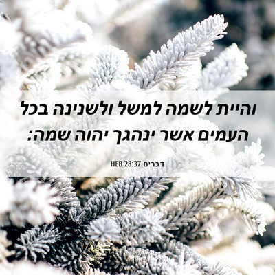 Picture 06 - דברים 28:37 HEB - והיית לשמה למשל ולשנינה - Bible Verse Picture