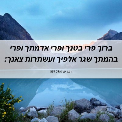 Picture 06 - דברים 28:4 HEB - ברוך פרי בטנך ופרי אדמתך - Bible Verse Picture