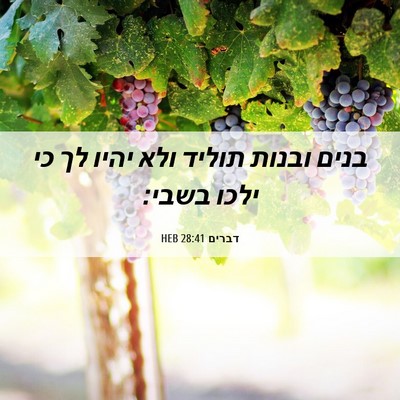 Picture 06 - דברים 28:41 HEB - בנים ובנות תוליד ולא יהיו - Bible Verse Picture